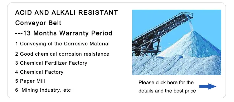 Acid And Alkali Resistant Conveyor Belt