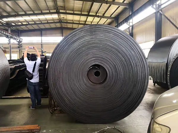Acid And Alkali Resistant Conveyor Belt